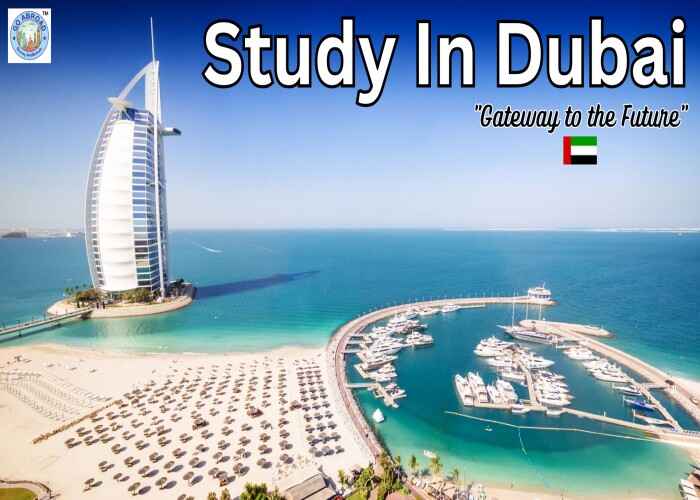 Best Study Abroad Consultant For Dubai