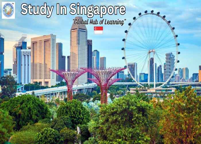 Best Study Abroad Consultant For Singapore
